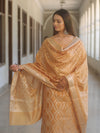 Banarasee Cotton Silk Zari Work Salwar Kameez Fabric With Dupatta-Light Brown