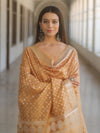 Banarasee Cotton Silk Zari Work Salwar Kameez Fabric With Dupatta-Light Brown
