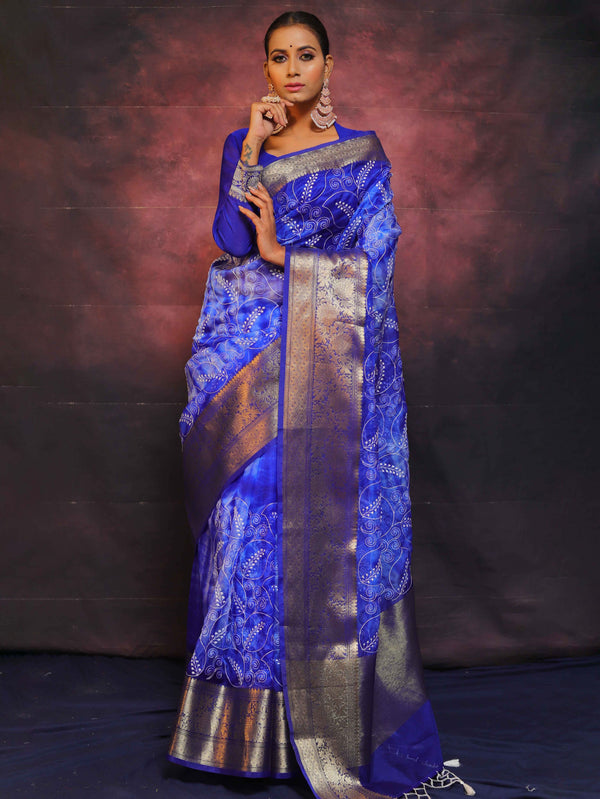 Banarasee Handwoven Shibori Dyed Organza Saree With Embroidered Floral Design-Blue