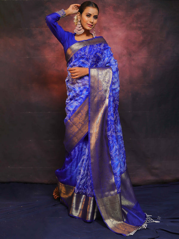 Banarasee Handwoven Shibori Dyed Organza Saree With Embroidered Floral Design-Blue