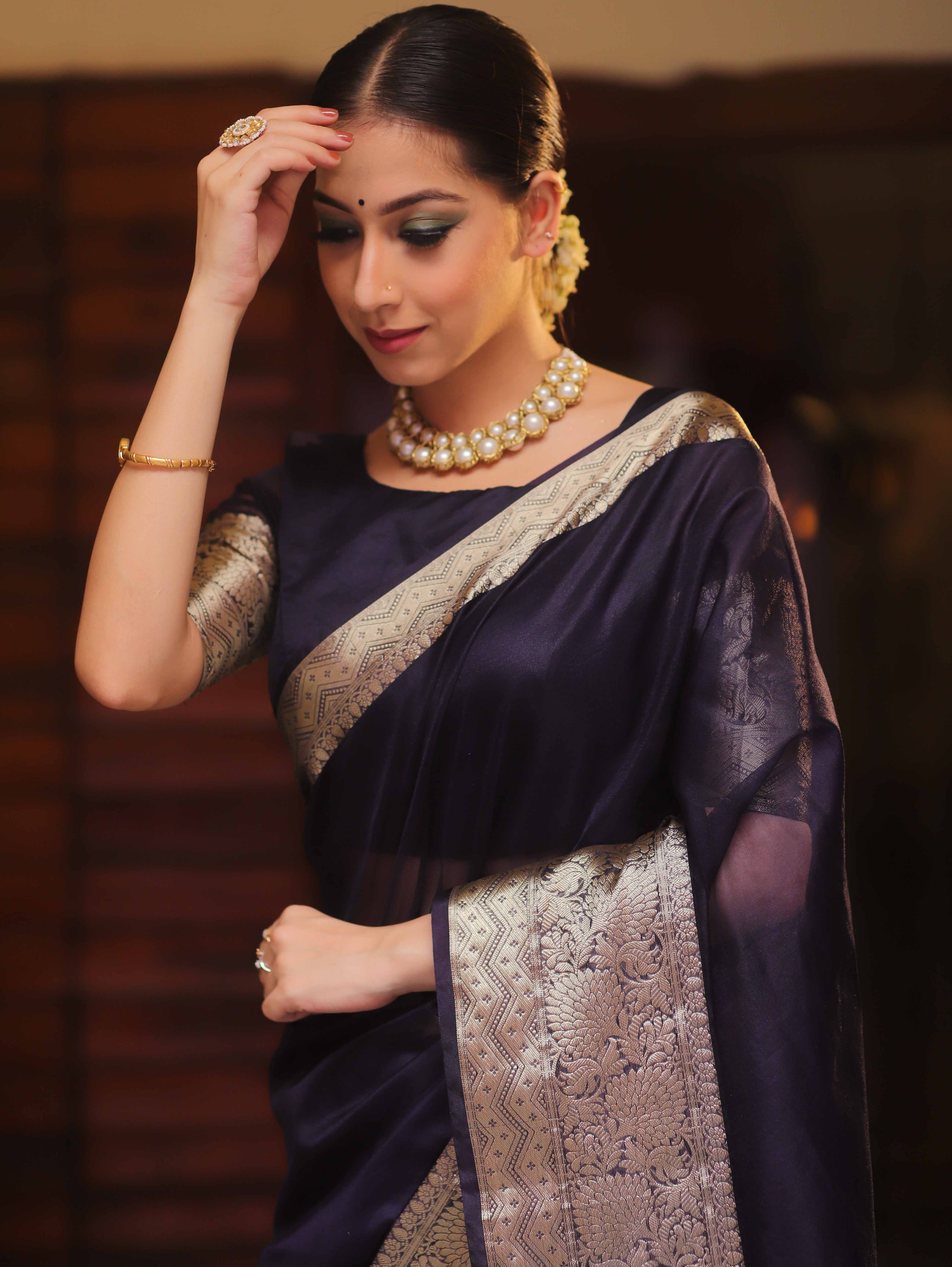 Banarasee Organza Mix Saree With Zari Border-Blue