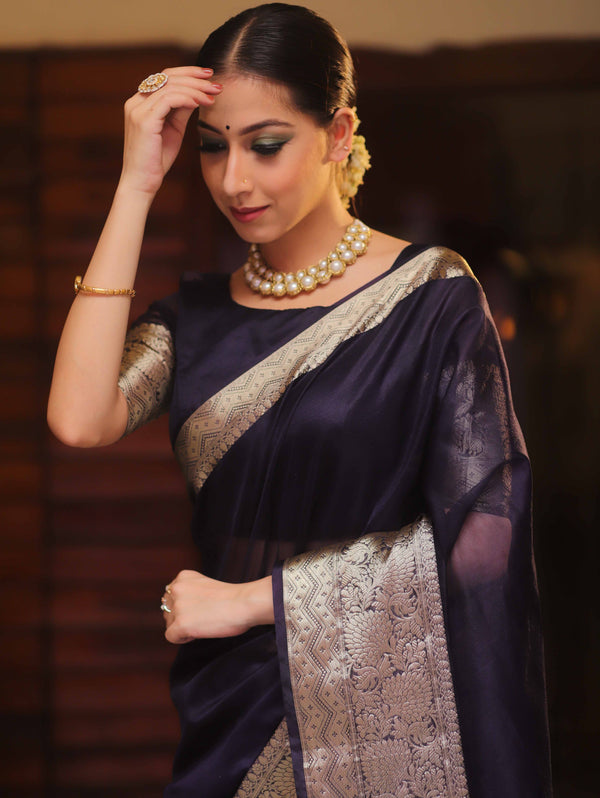 Banarasee Organza Mix Saree With Zari Border-Blue