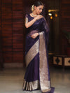 Banarasee Organza Mix Saree With Zari Border-Blue