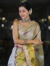 Banarasee Dual Color Tissue Saree With Digital Prints & Lace-Gold & Silver