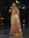 Banarasee Handwoven Tissue Saree With Thread Embroidered Border-Yellow (Gold Tone)