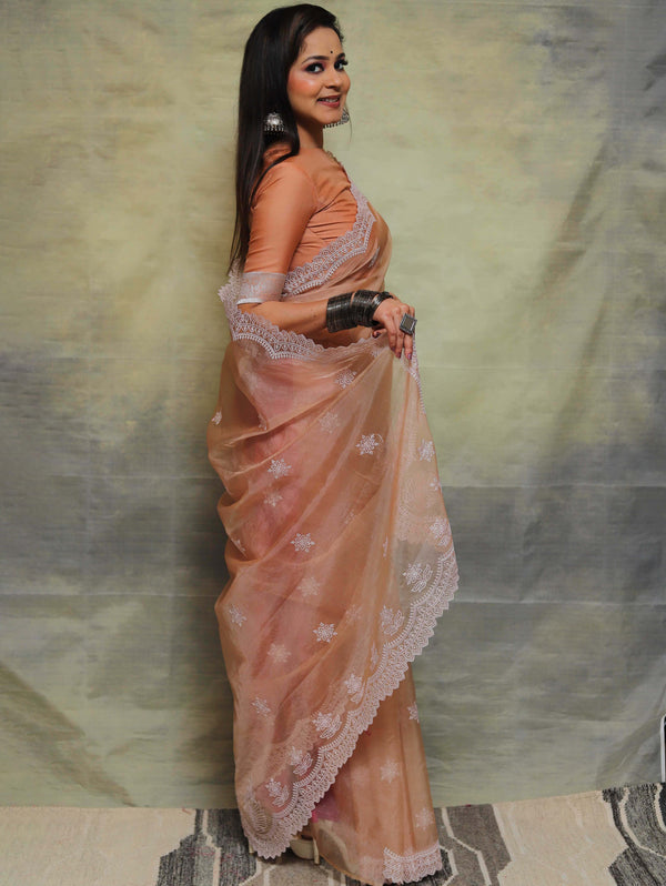 Banarasee Handwoven Organza Silk Floral Embroidered Saree-Light Brown
