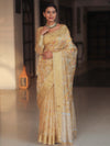 Banarasee Handwoven Tissue Saree With Embroidery & Hand Paint-Gold