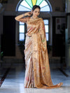 Banarasee Tissue Hand Embroidered Mirror Work Saree With Zari Resham & Ghungroo Work-Peach