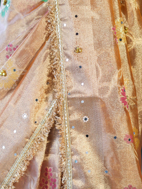 Banarasee Tissue Hand Embroidered Mirror Work Saree With Zari Resham & Ghungroo Work-Peach