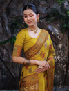 Banarasee Pure Chiffon Saree With Resham Work & Border-Lemon Yellow