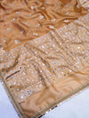 Banarasee Tissue Hand Embroidered Mirror Work Saree-Rust Orange