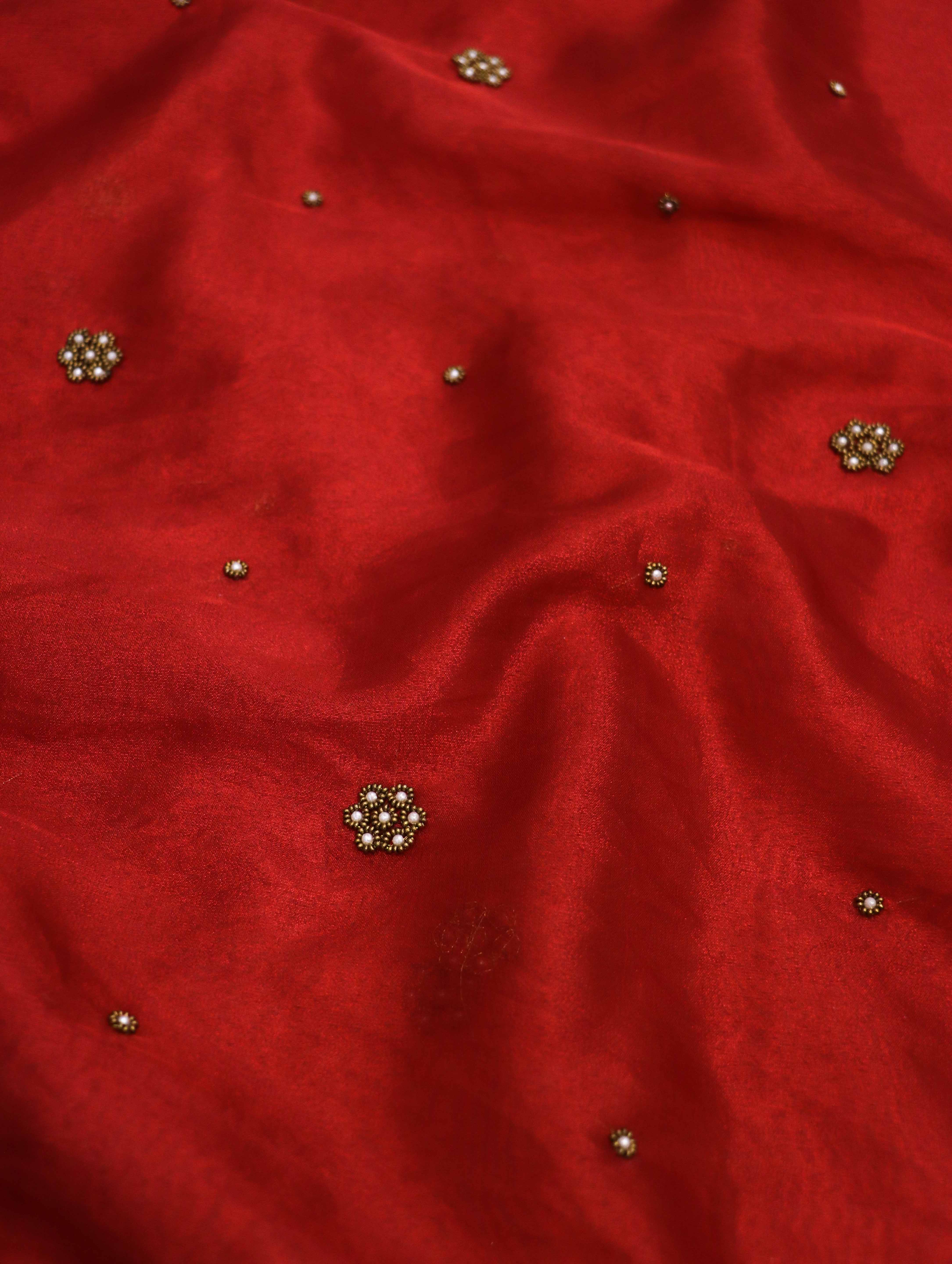 Banarasee Tissue Saree With Handwoven Motifs & Mirror Work Lace-Deep Red