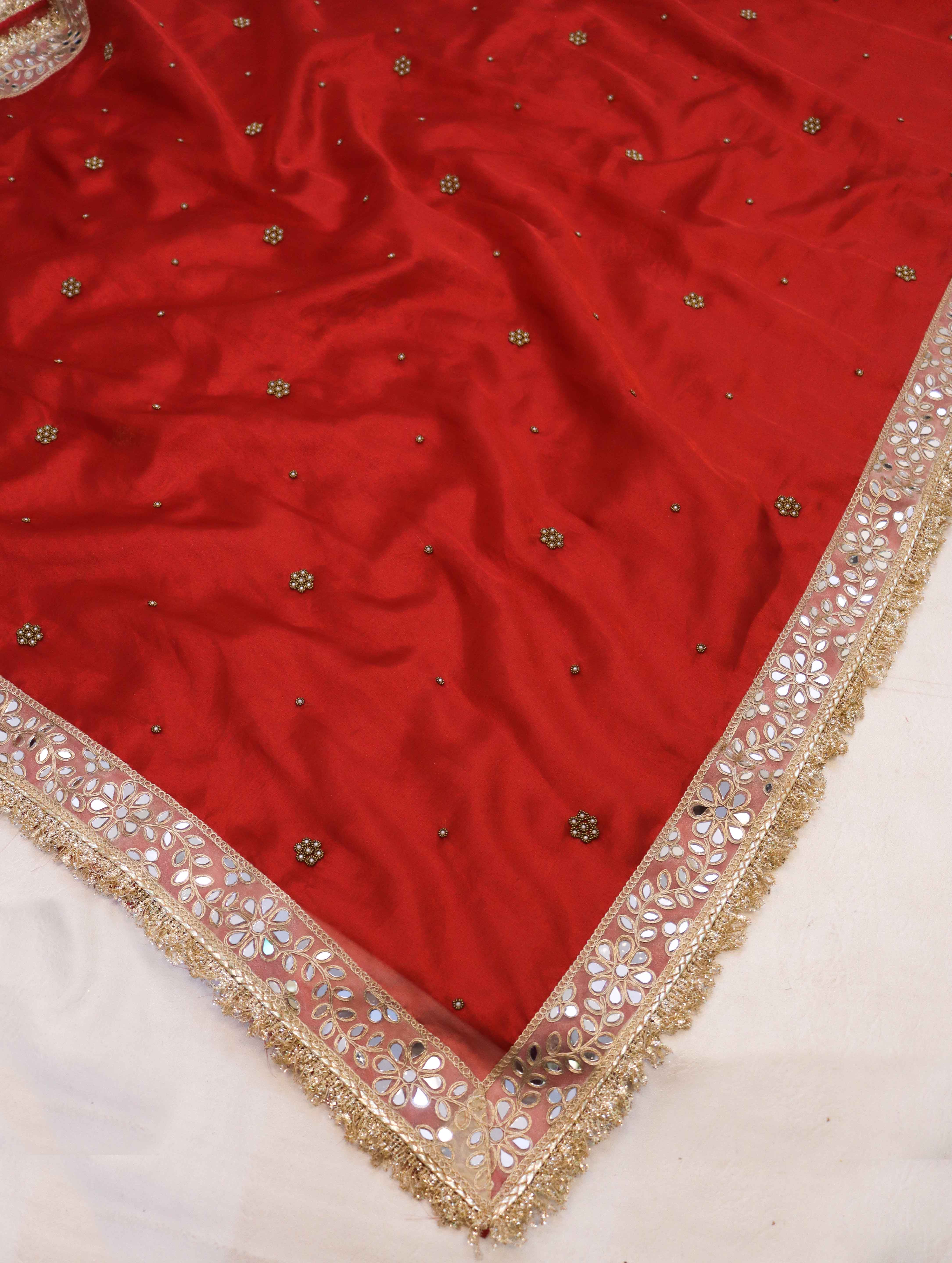 Banarasee Tissue Saree With Handwoven Motifs & Mirror Work Lace-Deep Red
