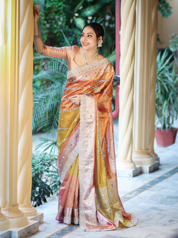 Banarasee Tissue Hand Embroidered Mirror Work Saree With Zari Woven Pallu & Lace-Multicolor