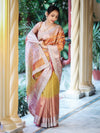 Banarasee Tissue Hand Embroidered Mirror Work Saree With Zari Woven Pallu & Lace-Multicolor