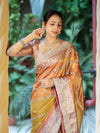 Banarasee Tissue Hand Embroidered Mirror Work Saree With Zari Woven Pallu & Lace-Multicolor