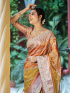 Banarasee Tissue Hand Embroidered Mirror Work Saree With Zari Woven Pallu & Lace-Multicolor