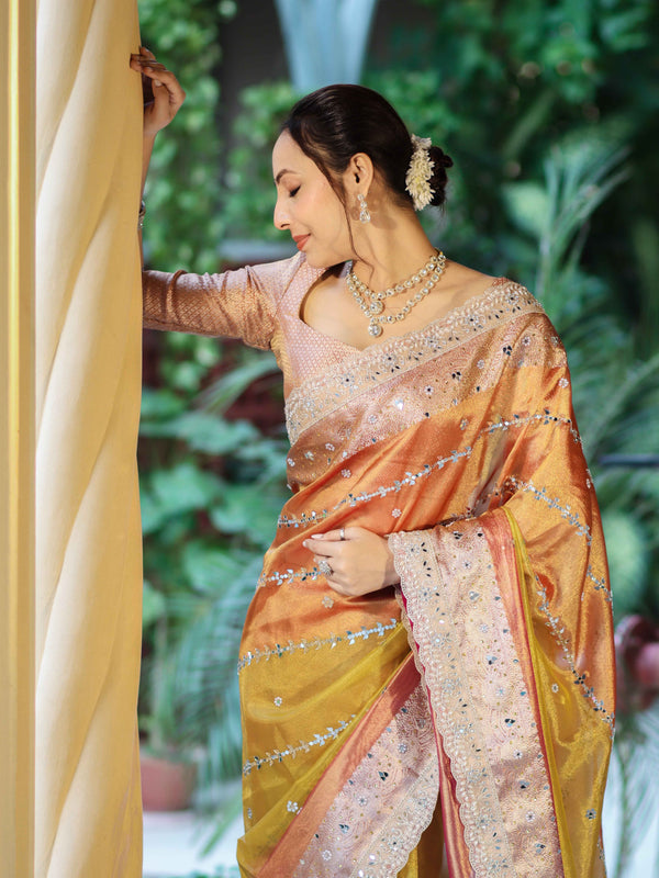 Banarasee Tissue Hand Embroidered Mirror Work Saree With Zari Woven Pallu & Lace-Multicolor