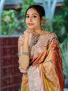 Banarasee Tissue Hand Embroidered Mirror Work Saree With Zari Woven Pallu & Lace-Multicolor