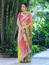 Banarasee Tissue Hand Embroidered Mirror Work Saree With Ghungroo Work & Embroidered Pallu-Multicolor