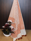 Banarasee Cotton Resham Zari Dupatta-White