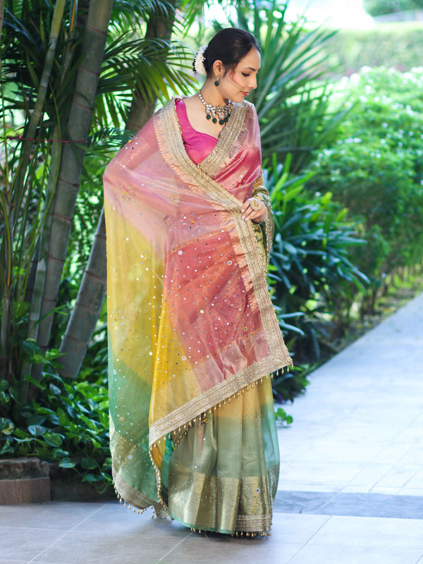 Banarasee Tissue Hand Embroidered Mirror Work Saree With Ghungroo Work & Embroidered Pallu-Multicolor