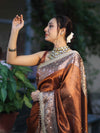 Banarasee Tissue Hand Embroidered Mirror Work Saree With Ghungroo Work & Zari Woven Pallu-Brown
