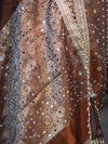 Banarasee Tissue Hand Embroidered Mirror Work Saree With Ghungroo Work & Zari Woven Pallu-Brown
