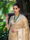 Banarasee Tissue Hand Embroidered Mirror Work Saree With Pearl Motifs & Swarovski Work-Gold