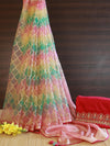 Banarasee Handwoven Jaal Design Organza Tissue Saree With Silk Embroidered Blouse-Multicolor
