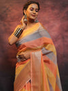 Banarasee Handwoven Semi Silk Saree With Handpainted Striped Design-Multicolor