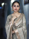 Banarasee Zari Embroidered Chanderi Silk Salwar Kameez With Dupatta Set-Grey