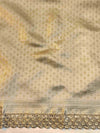 Banarasee Handwoven Tissue Saree With Zari Border & Lace-Gold