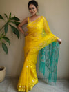 Banarasee Organza Saree With Gold Zari Jaal Design & Dual Color-Yellow & Green