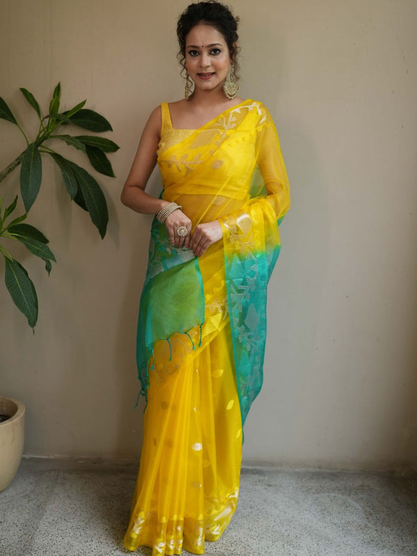 Banarasee Organza Saree With Gold Zari Jaal Design & Dual Color-Yellow & Green