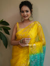 Banarasee Organza Saree With Gold Zari Jaal Design & Dual Color-Yellow & Green