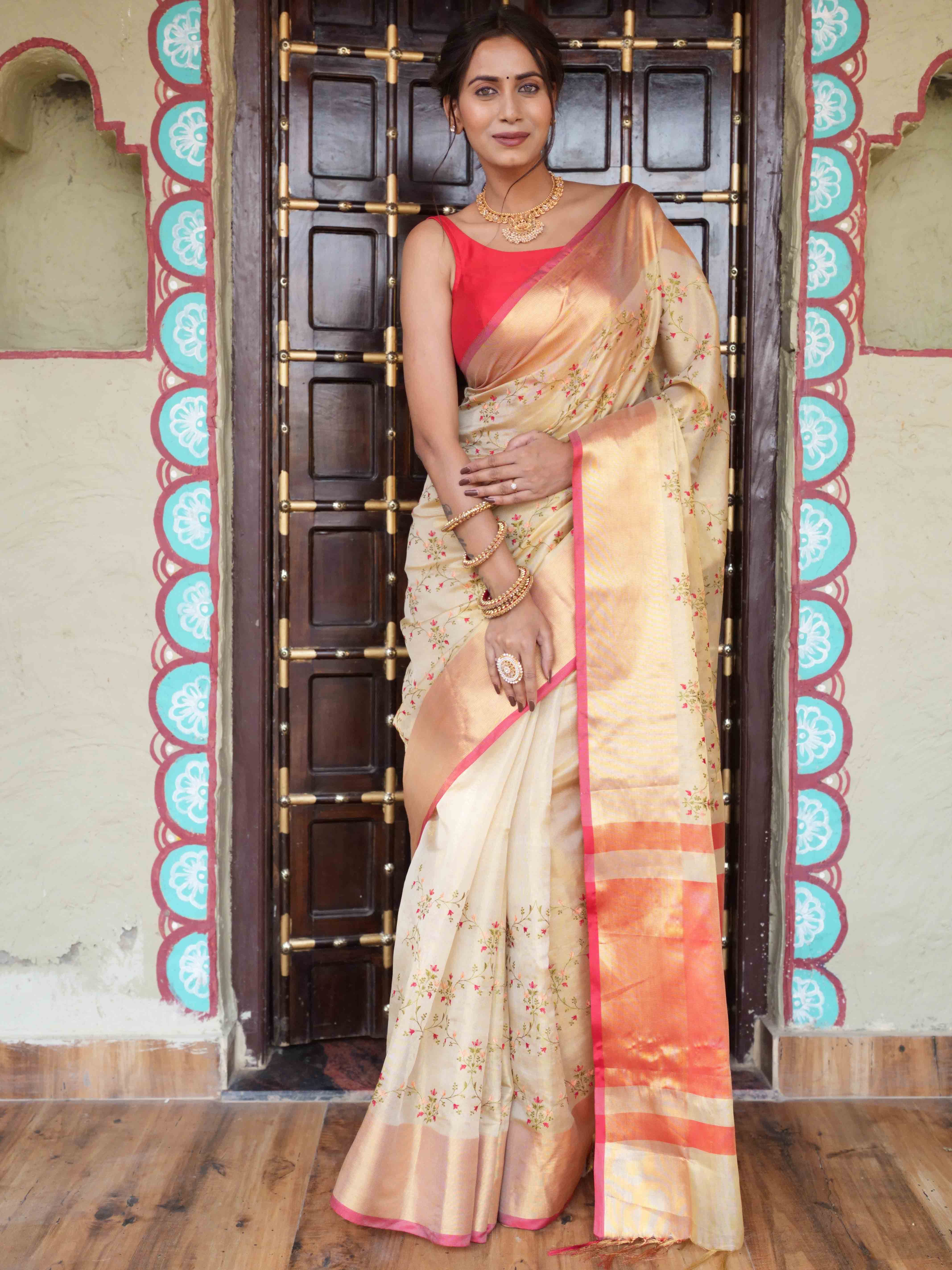 Banarasee Handwoven Broad Border Tissue Saree With Embroidered Design-Gold & Red