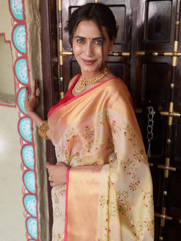 Banarasee Handwoven Broad Border Tissue Saree With Embroidered Design-Gold & Red