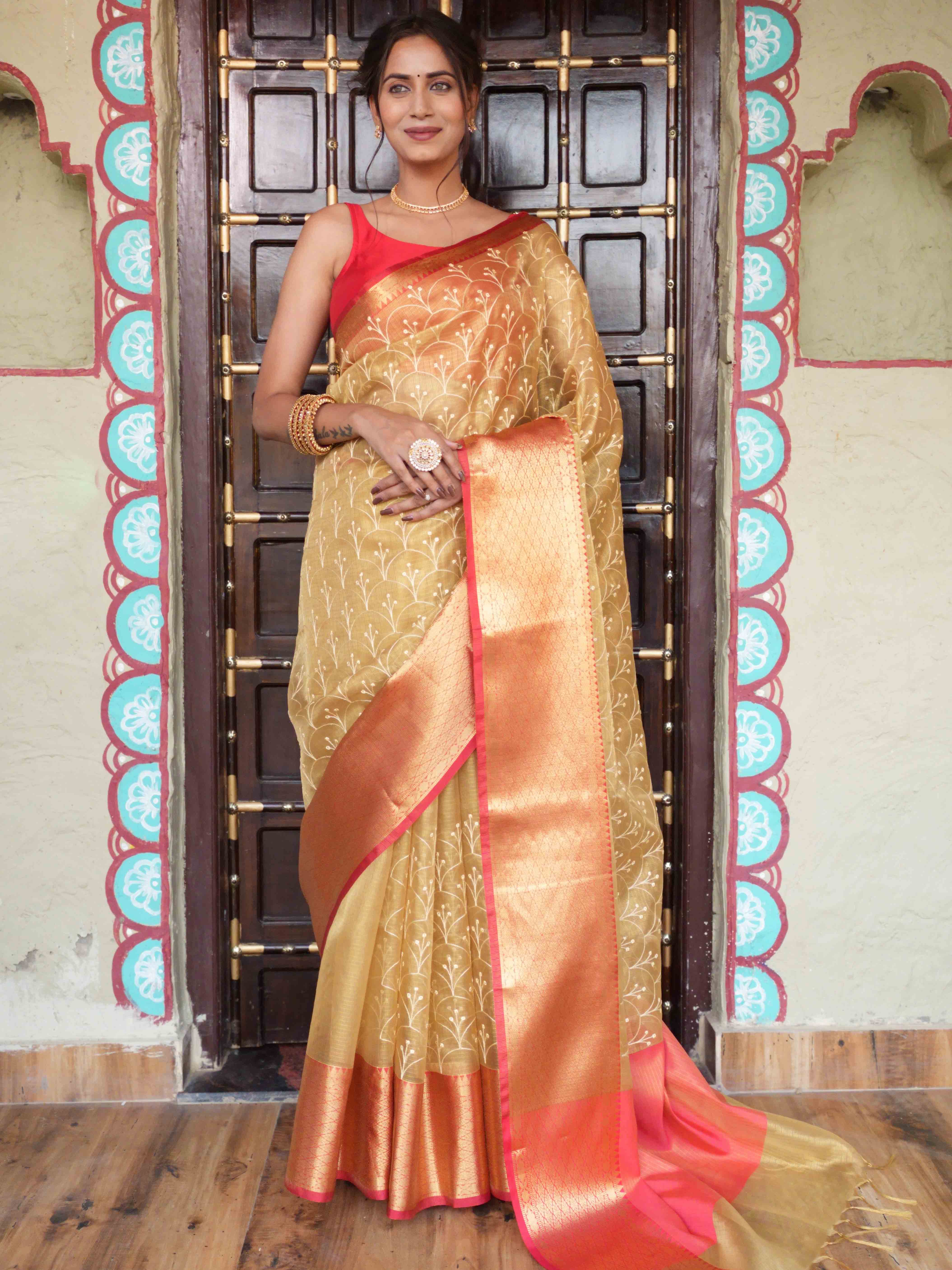 Banarasee Handwoven Broad Border Tissue Saree With Embroidered Design-Gold & Red