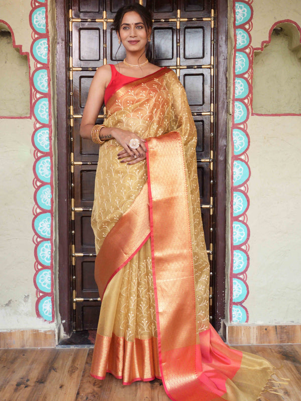 Banarasee Handwoven Broad Border Tissue Saree With Embroidered Design-Gold & Red