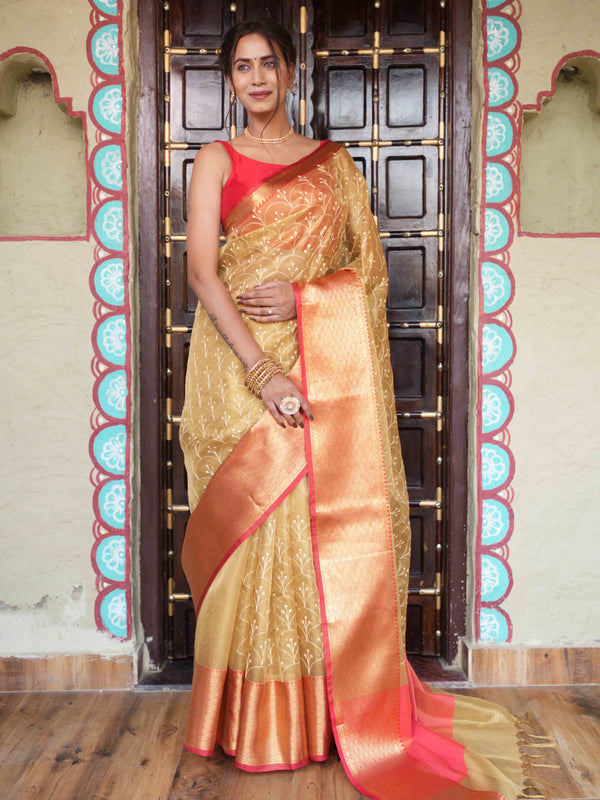 Banarasee Handwoven Broad Border Tissue Saree With Embroidered Design-Gold & Red