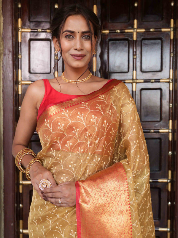 Banarasee Handwoven Broad Border Tissue Saree With Embroidered Design-Gold & Red