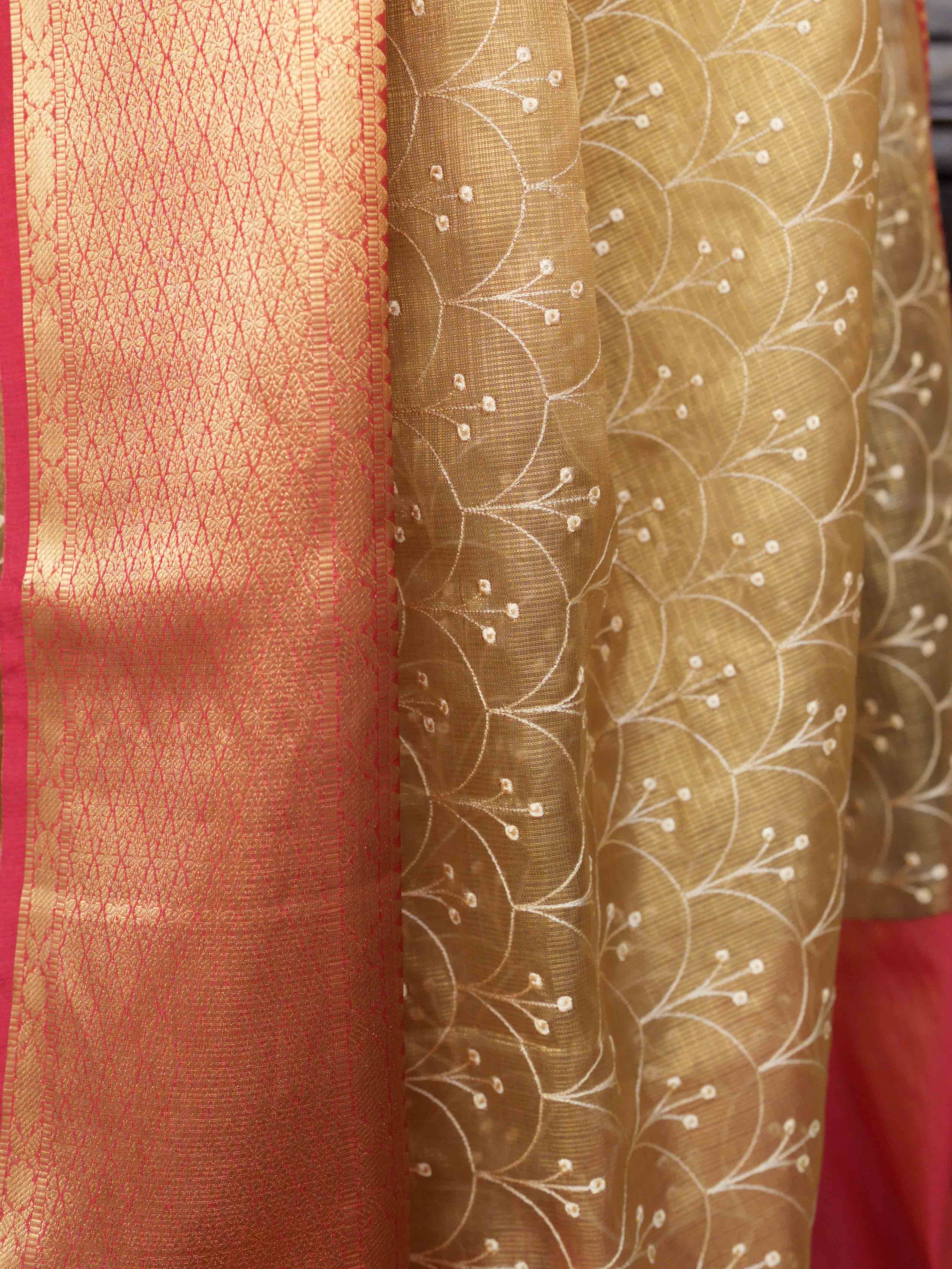 Banarasee Handwoven Broad Border Tissue Saree With Embroidered Design-Gold & Red