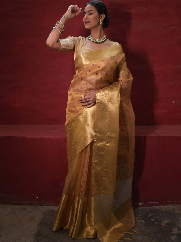 Banarasee Handwoven Broad Border Tissue Saree With Embroidered Design-Gold