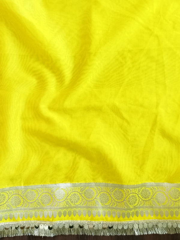 Banarasee Handwoven Semi-Chiffon Dual Color Saree With Silver Zari & Lace-Green & Yellow