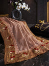 Banarasee Pure Tissue Silk Saree With Stripe Pattern & Resham Embroidered Border-Brown