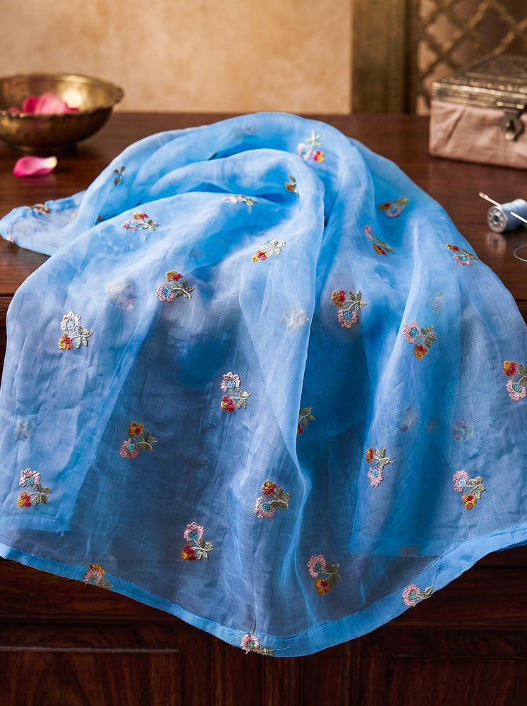 Banarasee Pure Tissue Silk Saree With Stripe Pattern & Resham Embroidered Border-Powder Blue