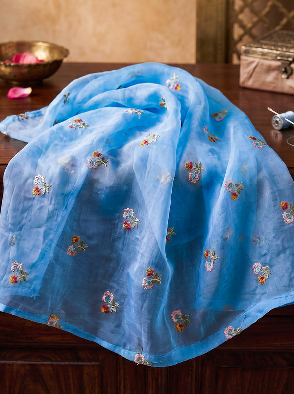Banarasee Pure Tissue Silk Saree With Stripe Pattern & Resham Embroidered Border-Powder Blue