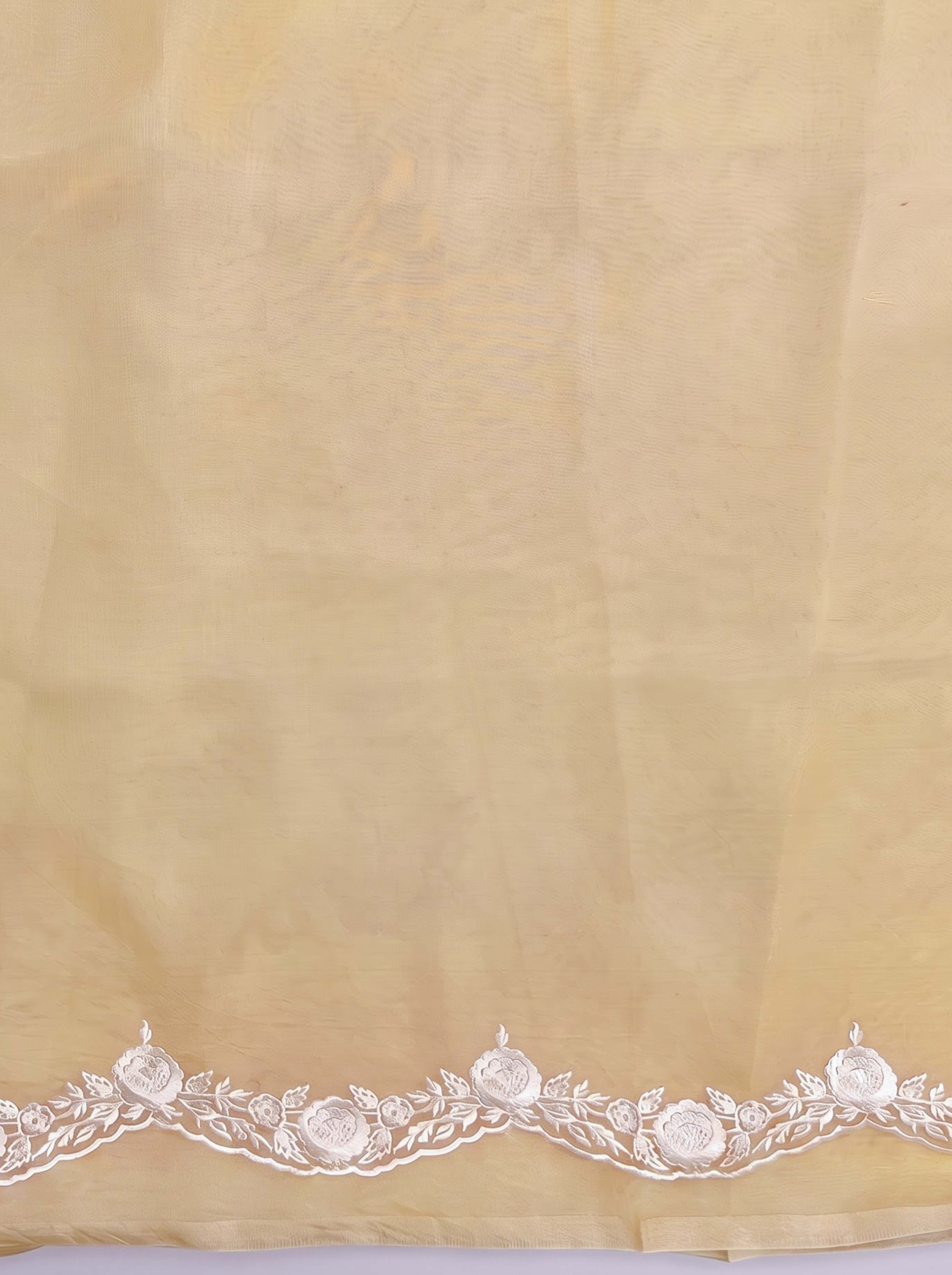 Banarasee Pure Organza Silk Saree With Floral Resham Embroidery-Cream