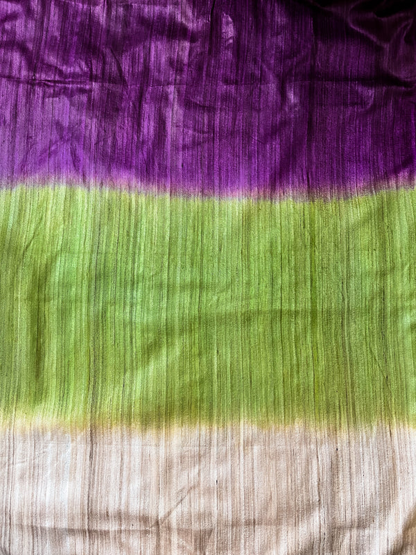 Bhagalpuri Handloom Pure Tussar Silk Saree-Multicolor